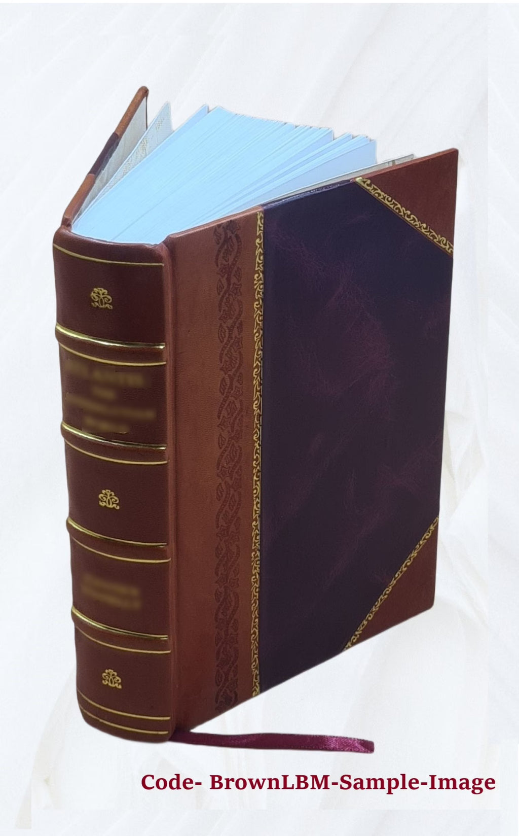 Leather Bound Book L5619