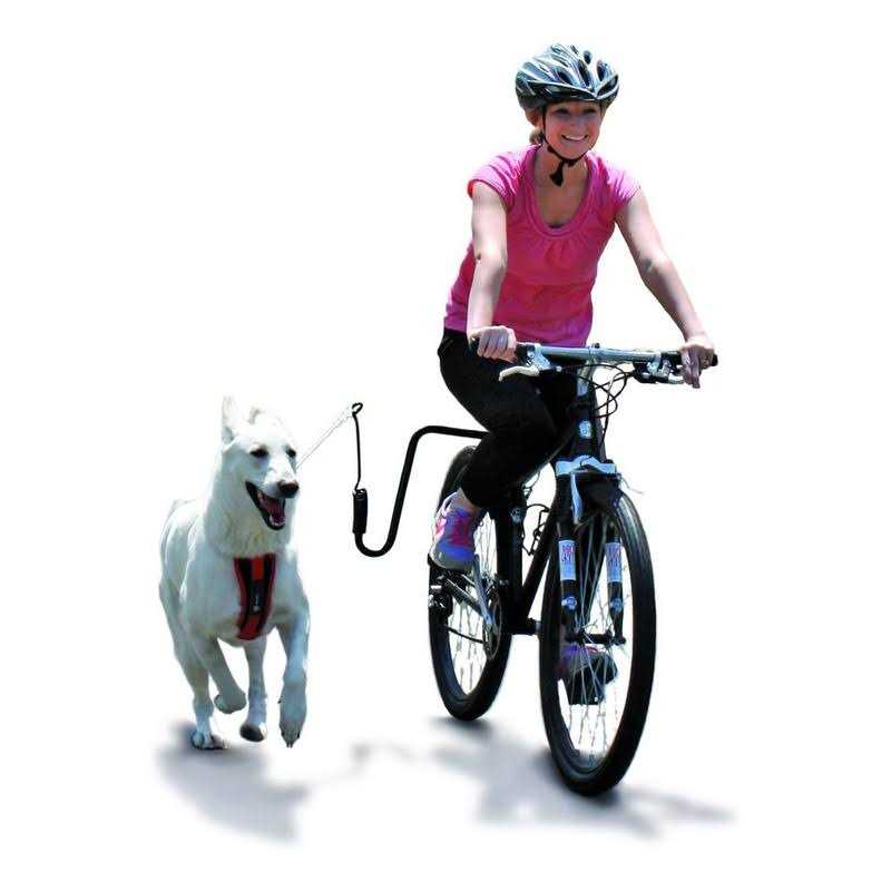 Hands Free Dog Leash Bike Attachment Kit K64393