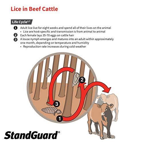 152 fl oz Pour-On Insecticide for Cattle J252