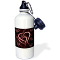 21 oz Sports Water Bottle T761932