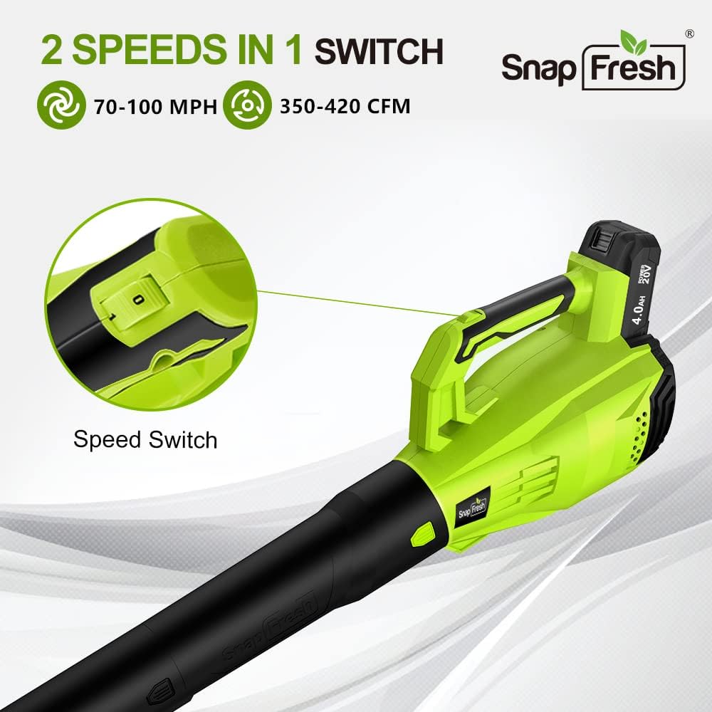 20V MAX Cordless Leaf Blower with 4.0Ah Battery & Charger E742
