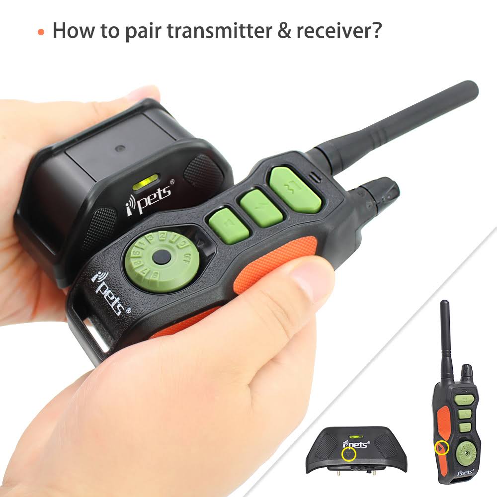 2 Collars Waterproof Dog Training Collar N268125