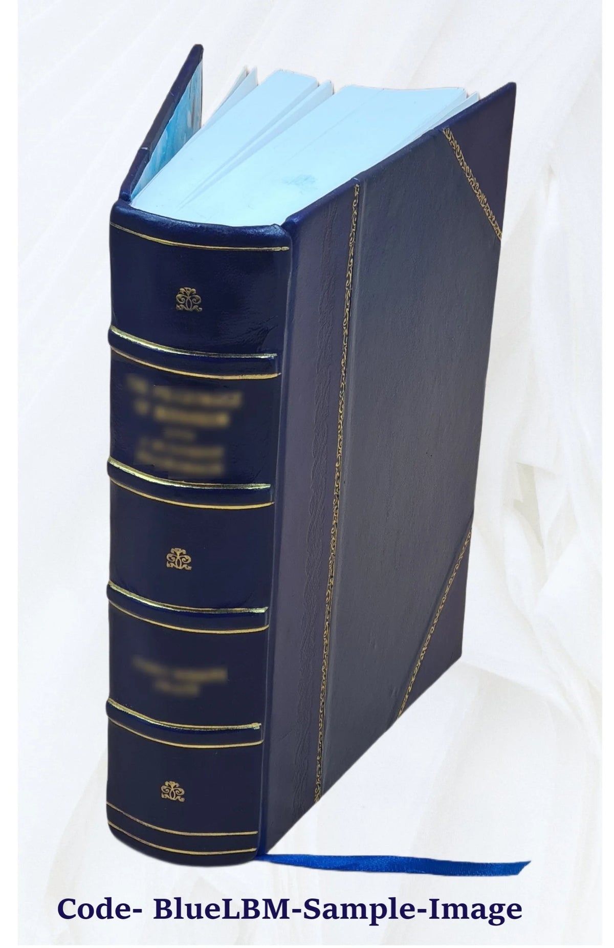 Leather Bound Book L5619