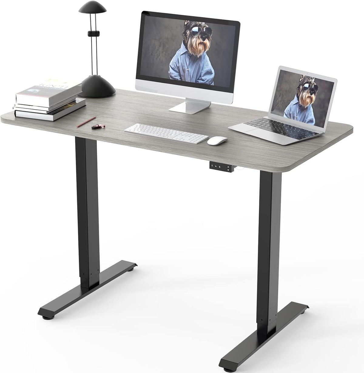 Electric Height Adjustable Standing Desk, Grey 48 x 24 Inches Sit Stand Up Desk with Memory Controller B22982