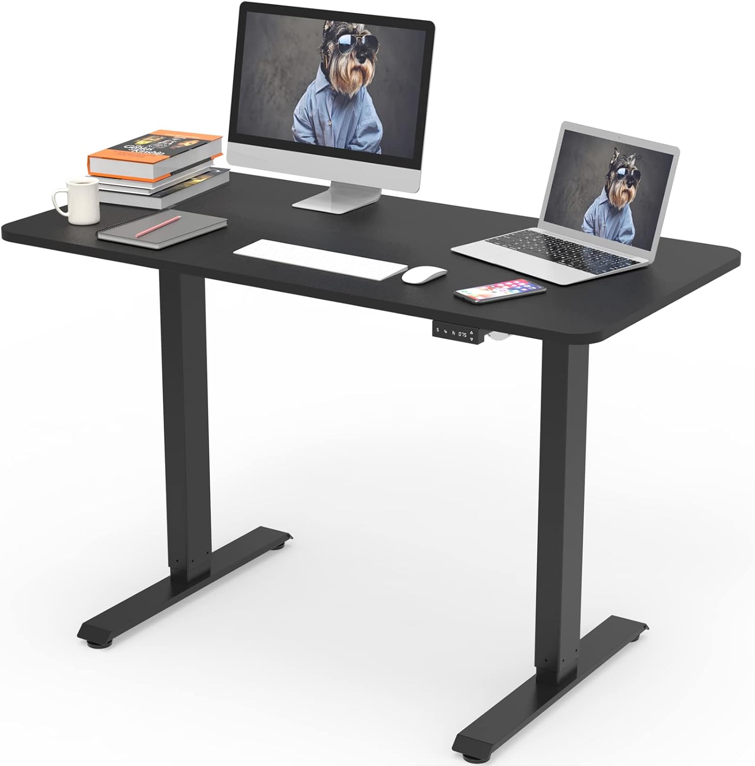 Electric Height Adjustable Standing Desk, Grey 48 x 24 Inches Sit Stand Up Desk with Memory Controller B22982