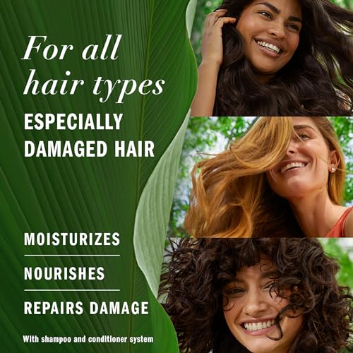 Argan Oil Repair Shampoo & Conditioner Set, Paraben-Free, Color-Safe, 20.2 Fl Oz, 2-Pack V318766