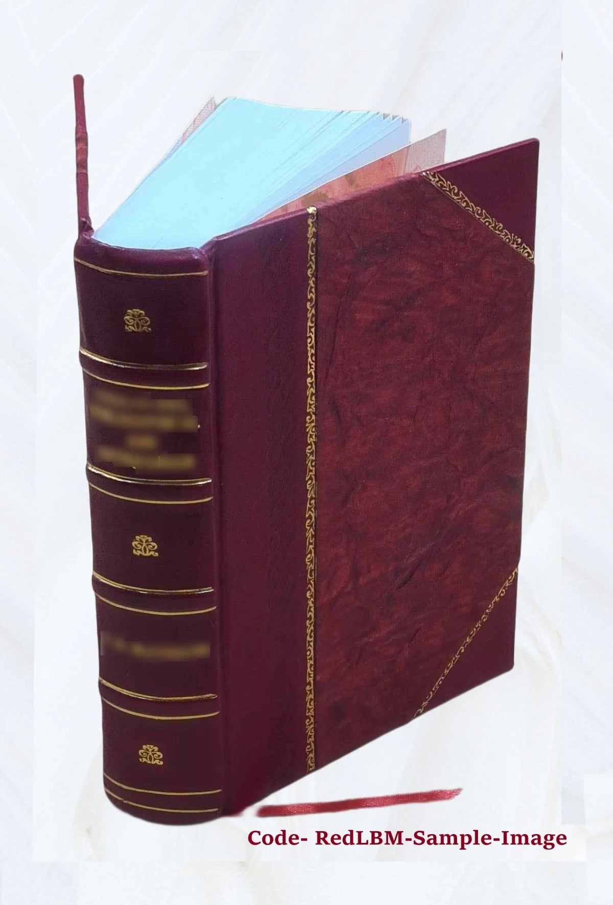 Leather Bound Book L5619