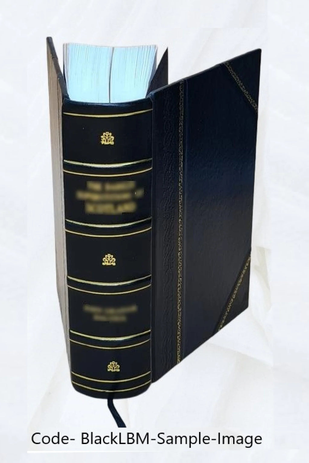 Leather Bound Book L5619