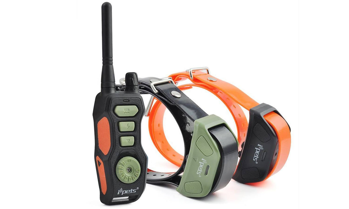 2 Collars Waterproof Dog Training Collar N268125