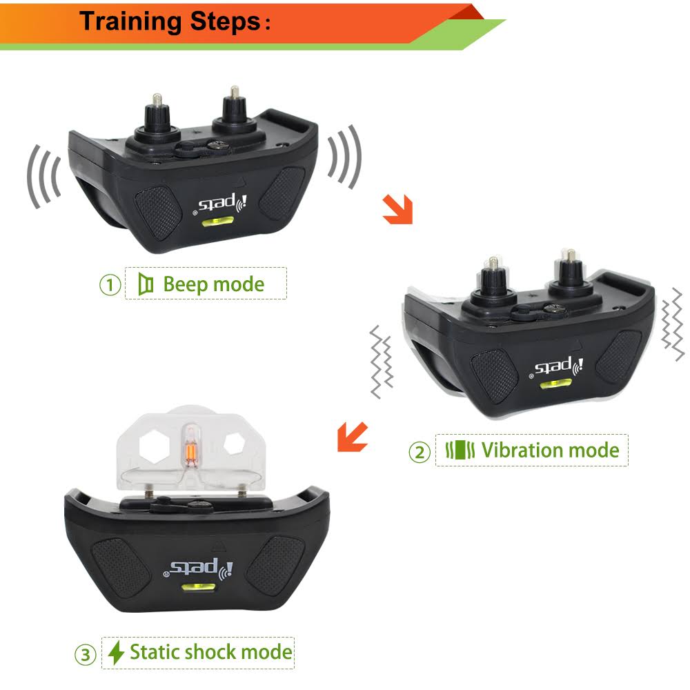 2 Collars Waterproof Dog Training Collar N268125