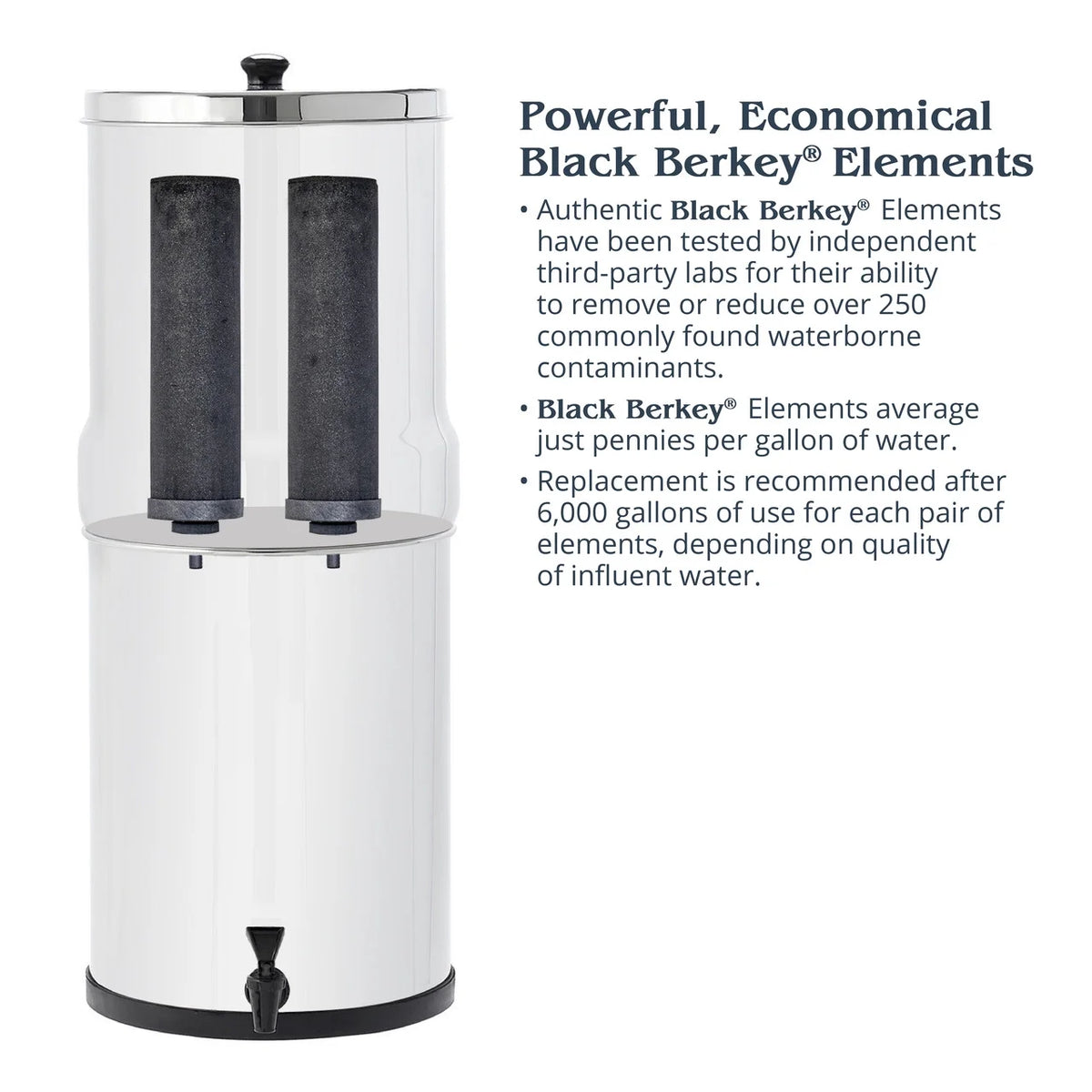 Black Purification Elements, 2 Count Z73896